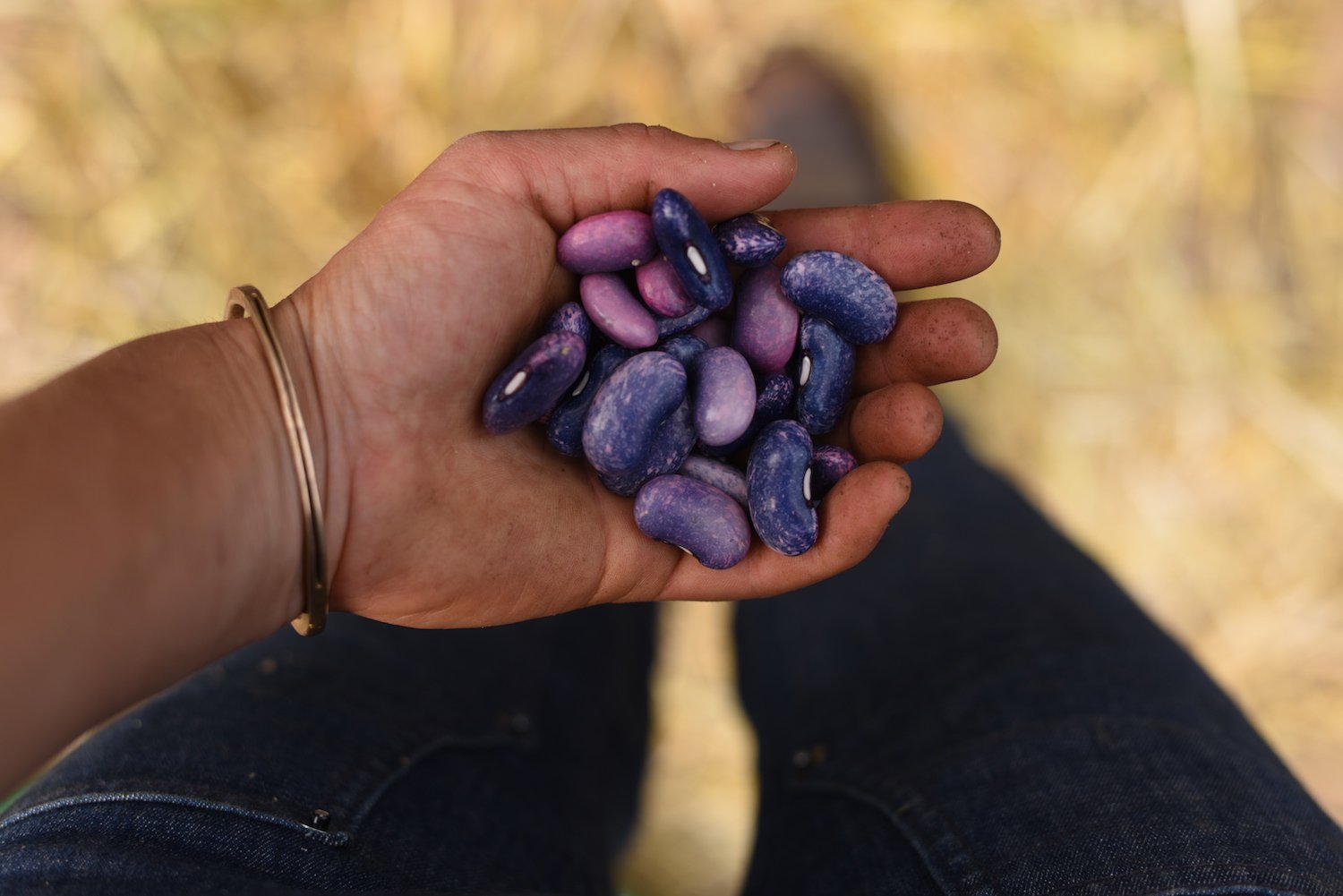 Three tips that will make your home garden bloom